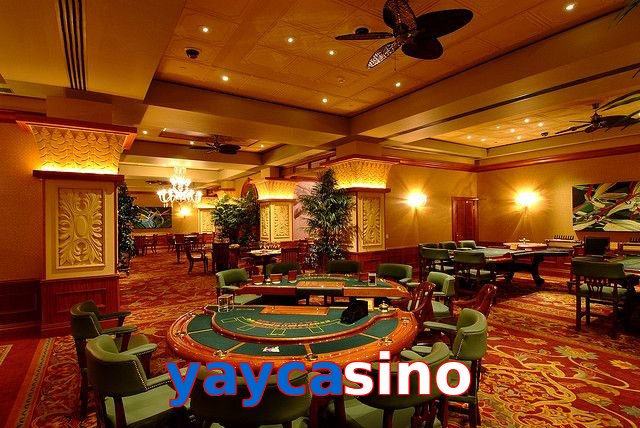 Yaycasino